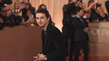 Timothee Chalamet