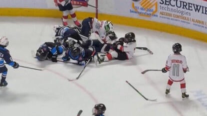 Fight during pee-wee hockey game