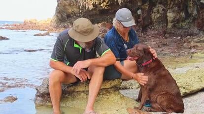 Couple sitting on a beach rock petting a dog