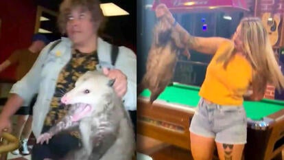 woman holding an opossum in a bar / a different woman holding an opossum in a bar