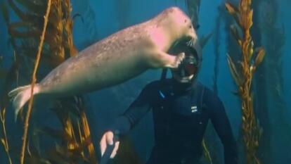 Photographer Rusty Hunter and Seal 