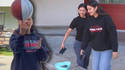 Teen spinning an orange and white basketball on her fingertip / Two teens putting their cellphones into a blue bowl