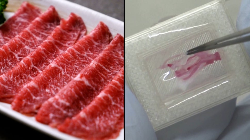 3D printed meat