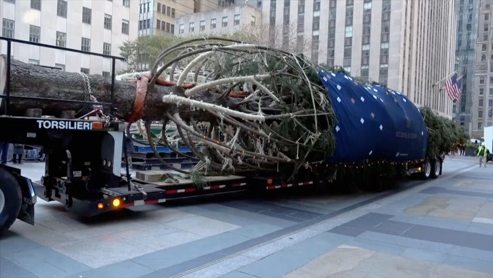 Everything to Know About This Year's Rockefeller Center Christmas Tree