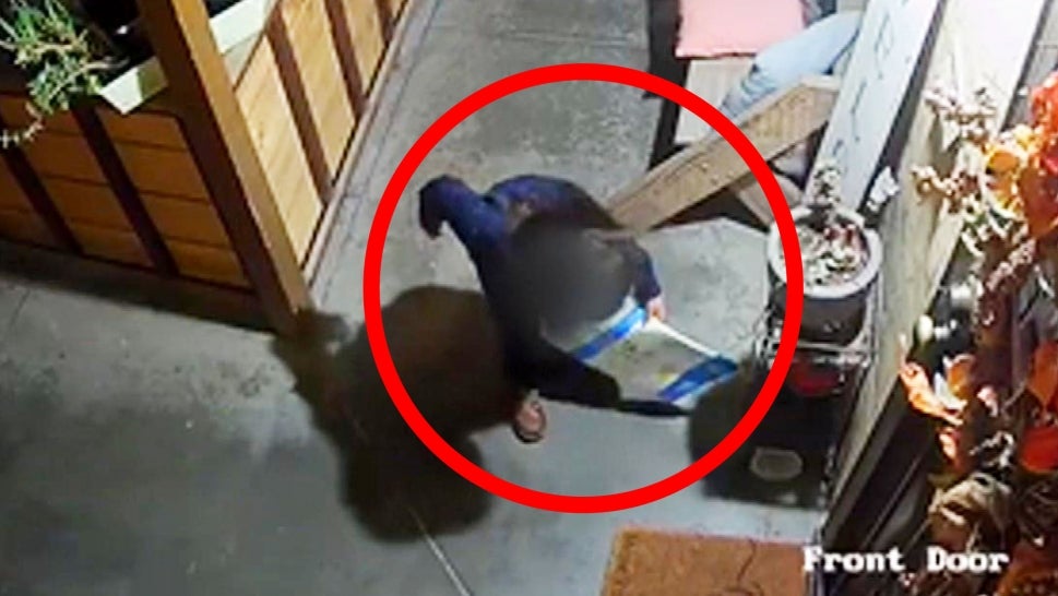 Little Kid Gets Sent to Steal Packages Off Porch by Adult 