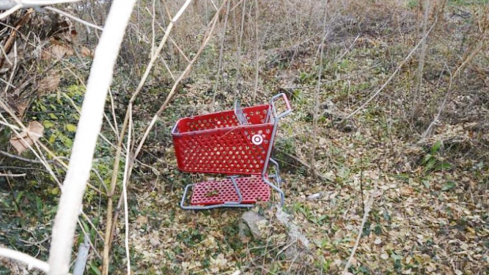 A shopping cart was found in an empty lot near a container where two bodies were found.