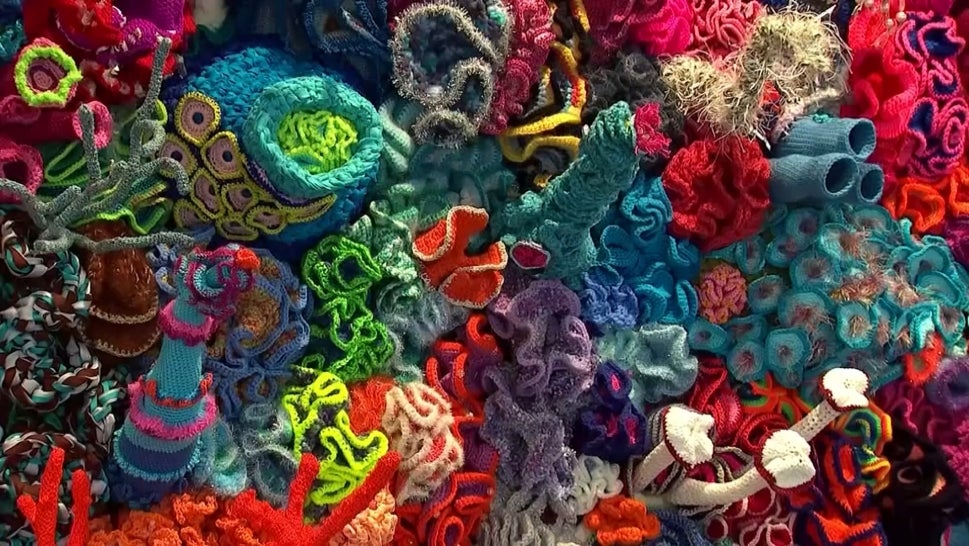 Coral Reef Made of Yarn Brings Awareness to Climate Change
