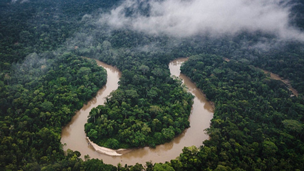 A stock image of the Amazon Rainforest, Ecaudor 