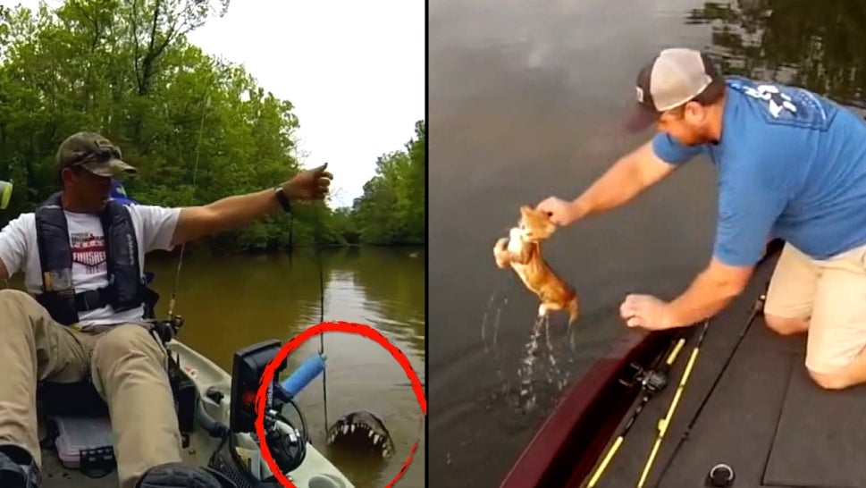 Unusual Catches by People Fishing