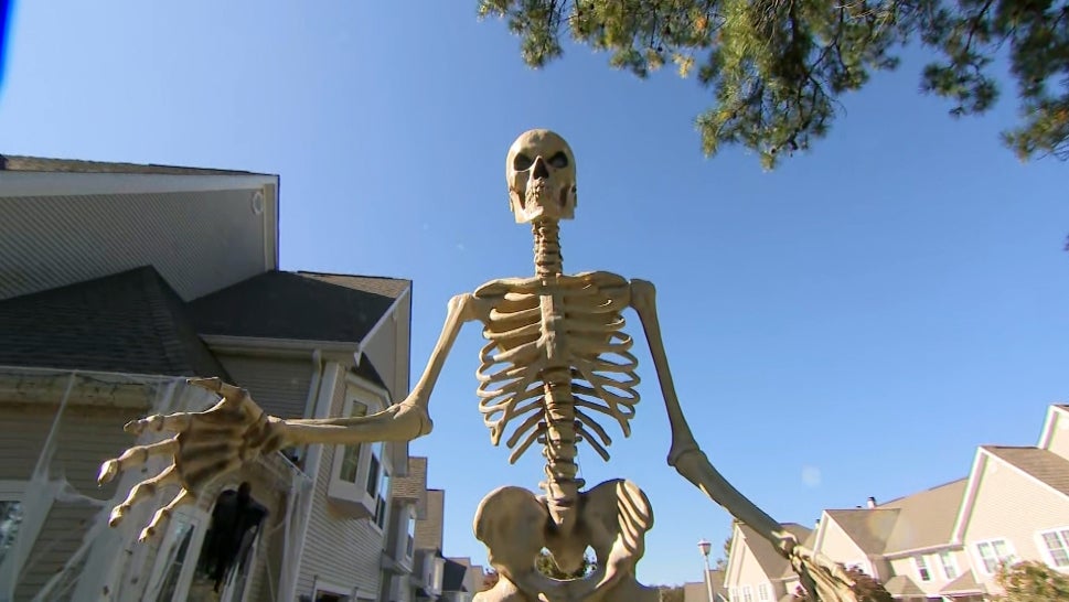 Woman Steals Giant Skeleton Halloween Decoration