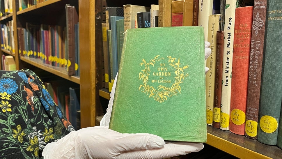 Librarian holding a book with a green cover