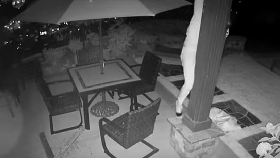 screengrab of black and white surveillance video featuring man sliding down pole outside house