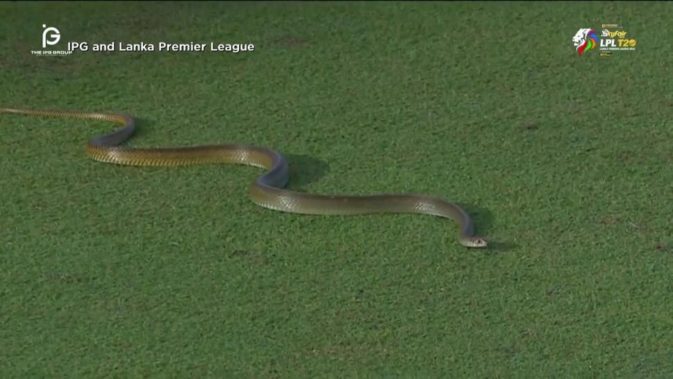 IPG and Lanka Premier League