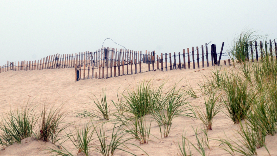 Cape Cod Attempted Murder Drowning