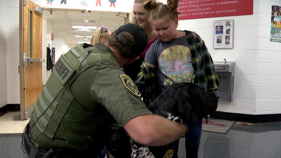 K9 Trained to Sniff Out Guns at Schools in Tennessee 