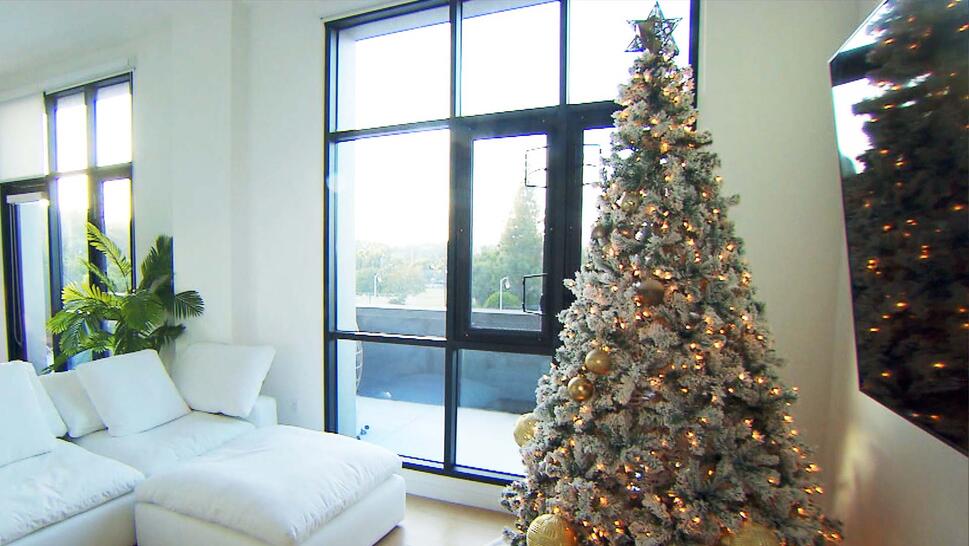 Christmas tree inside a living room.