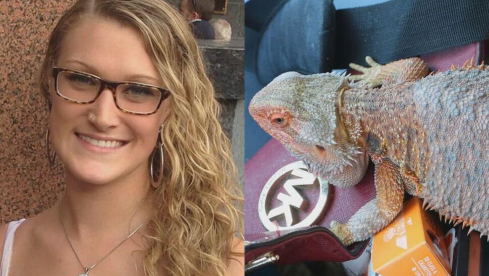 Split image: on left is Chelsea Grimm, on right is her bearded dragon Roxy