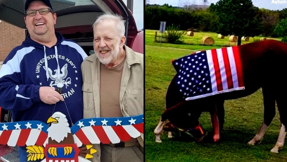 Heartwarming Stories About Honoring Veterans