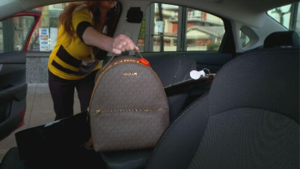 Michael Kors purse in car