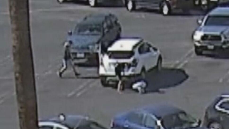 person waking to car to steal purse