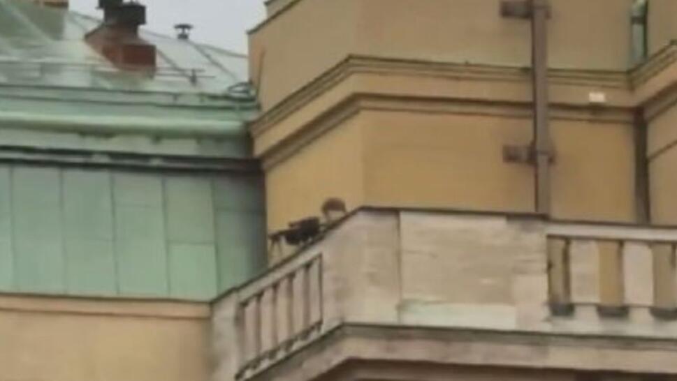shooter on balcony