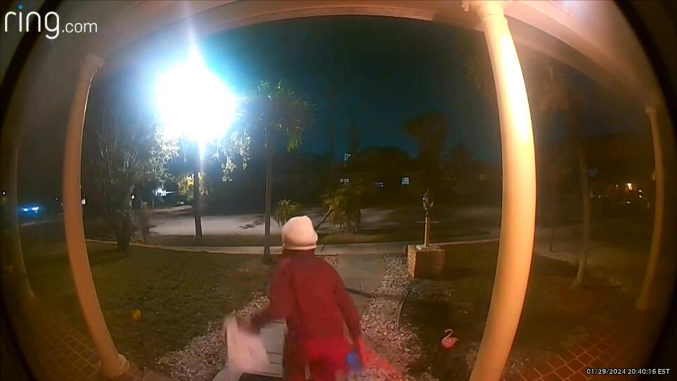 Young Child Swipes Package From Doorstep