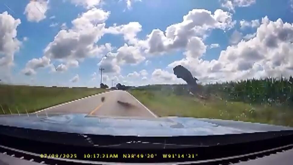 Car Fleeing Cops Flips Into Cornfield
