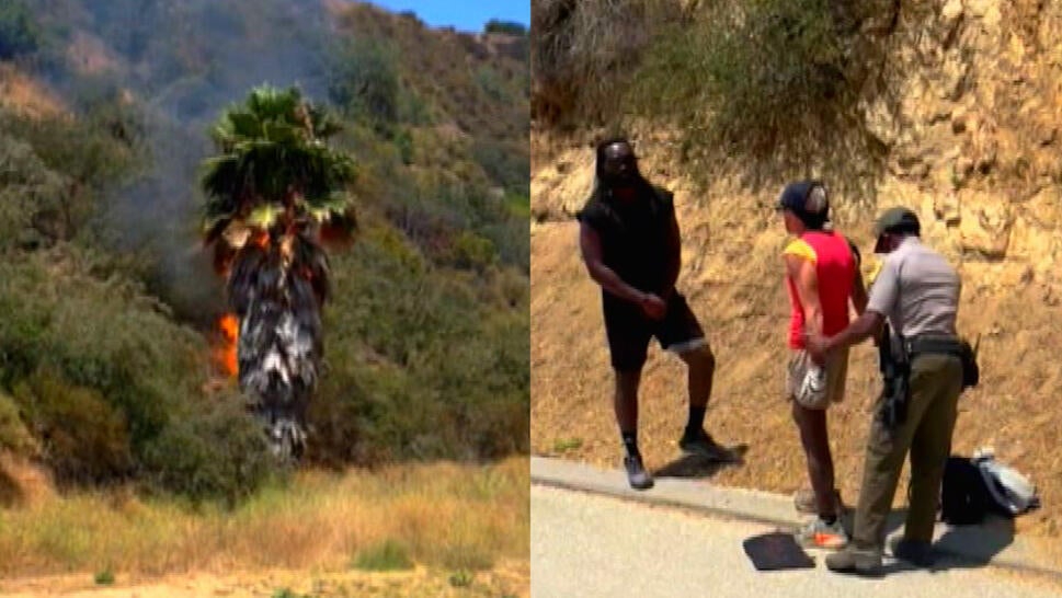 Tree on fire in Los Angeles' Runyon Canyon, police arresting suspect