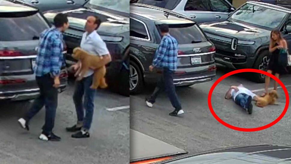 Two men standing behind a van, one holding a small brown dog / Man walking away while another man and dog is on the ground knocked out