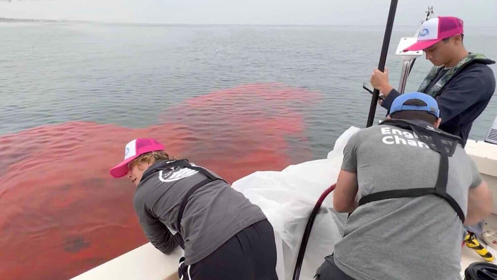 People on boat looking at pink dye in water