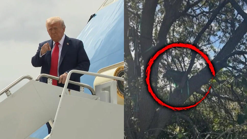 Donald Trump, possible sniper nest in trees