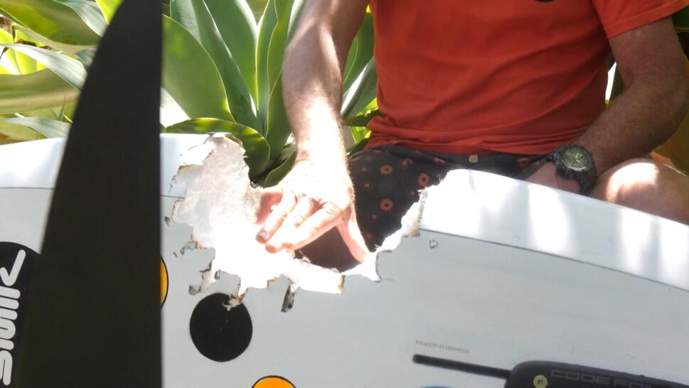 surfer was attacked by a shark