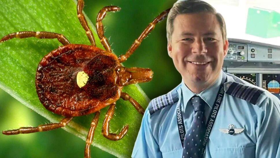 Close up of a tick on a leaf / Brian Waitzel in pilot cockpit