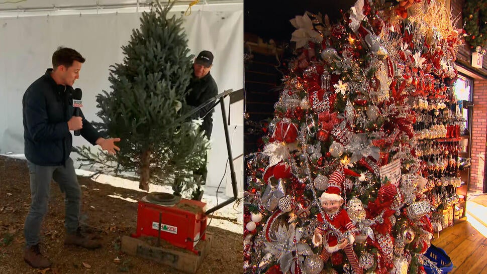 Steven Fabian with a real Christmas tree, a decorated artificial Christmas tree