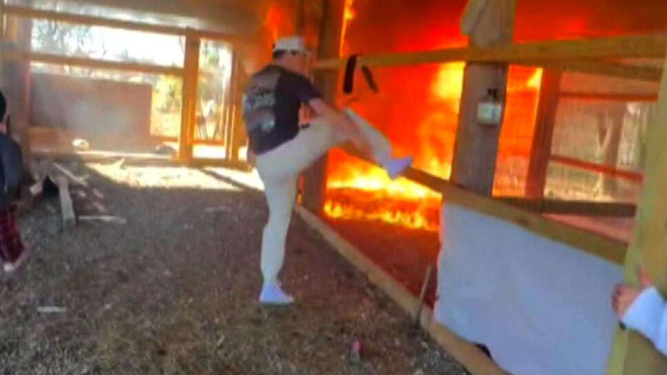 Taylor Holder trying to kick through the fence