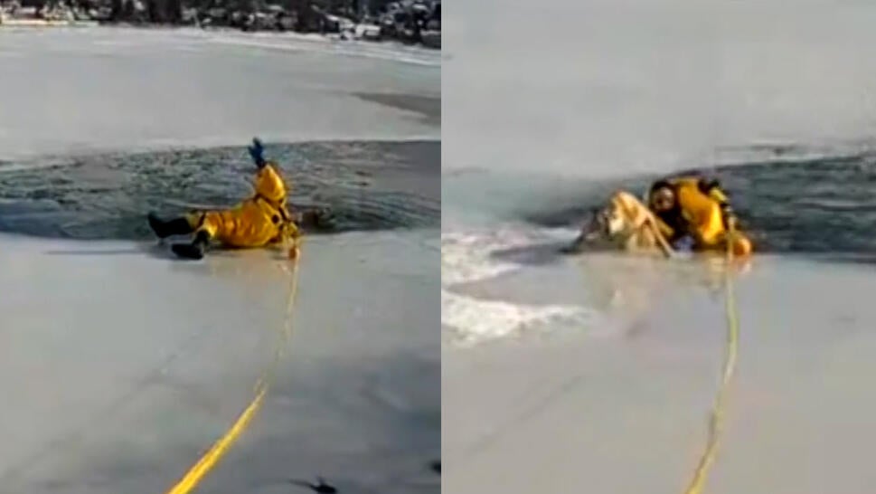 Dog getting rescued from lake
