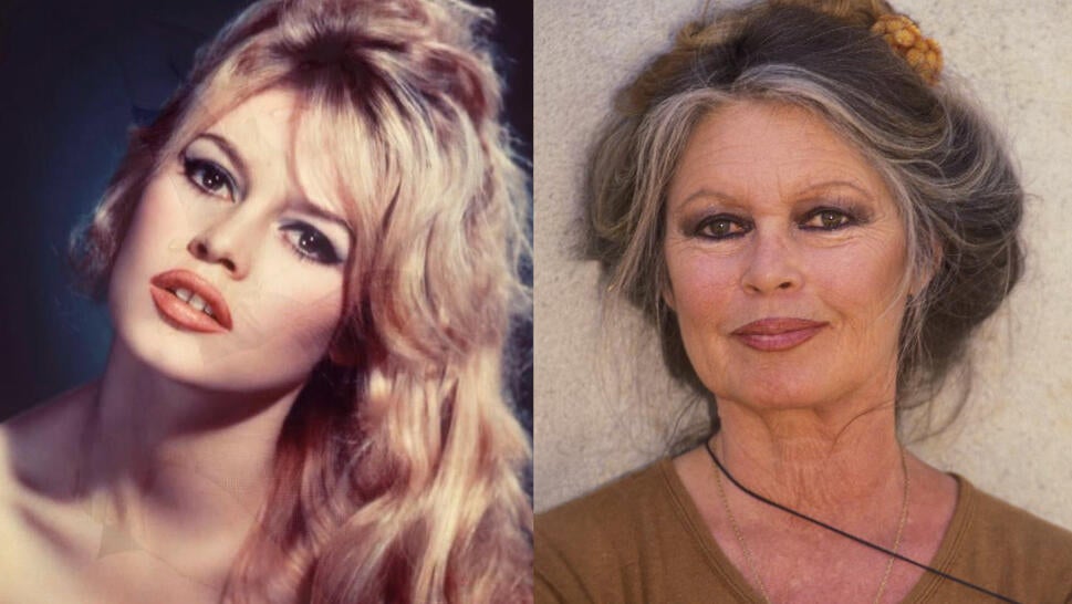Brigitte Bardot c. 1963, Bardot later in life