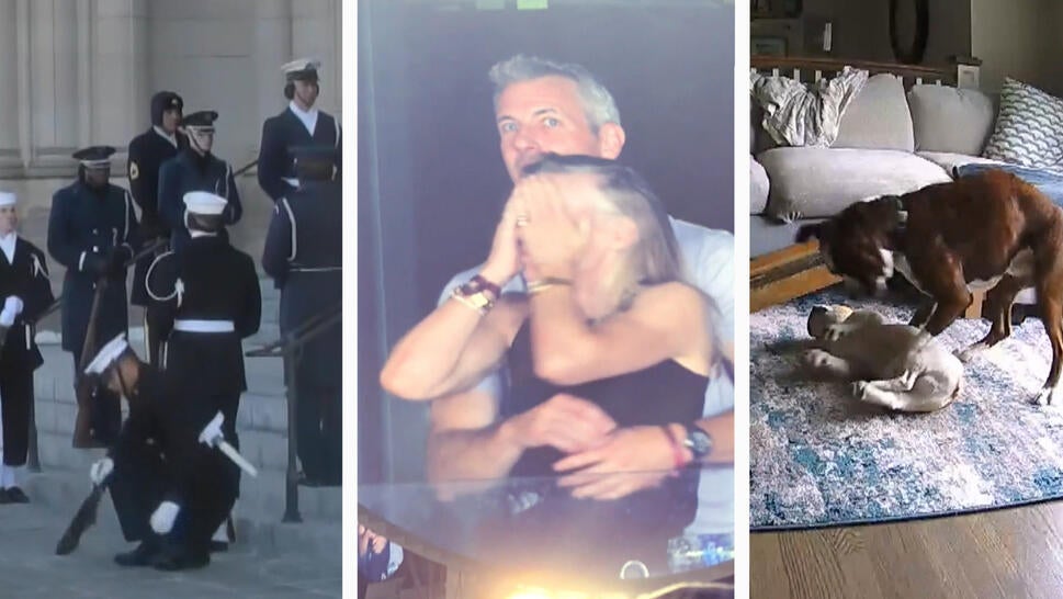 Popular Stories of 2025