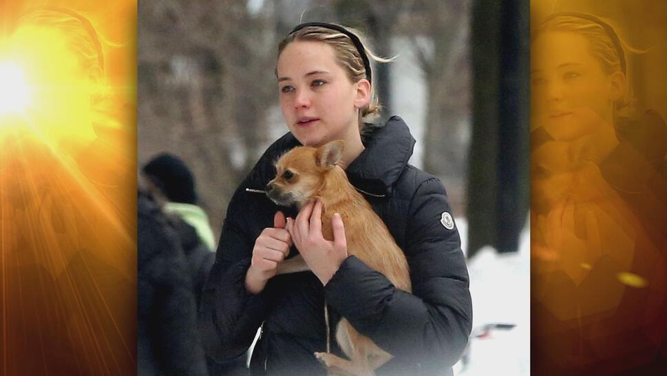 Jennifer Lawrence and dog Princess Pippi Longstocking