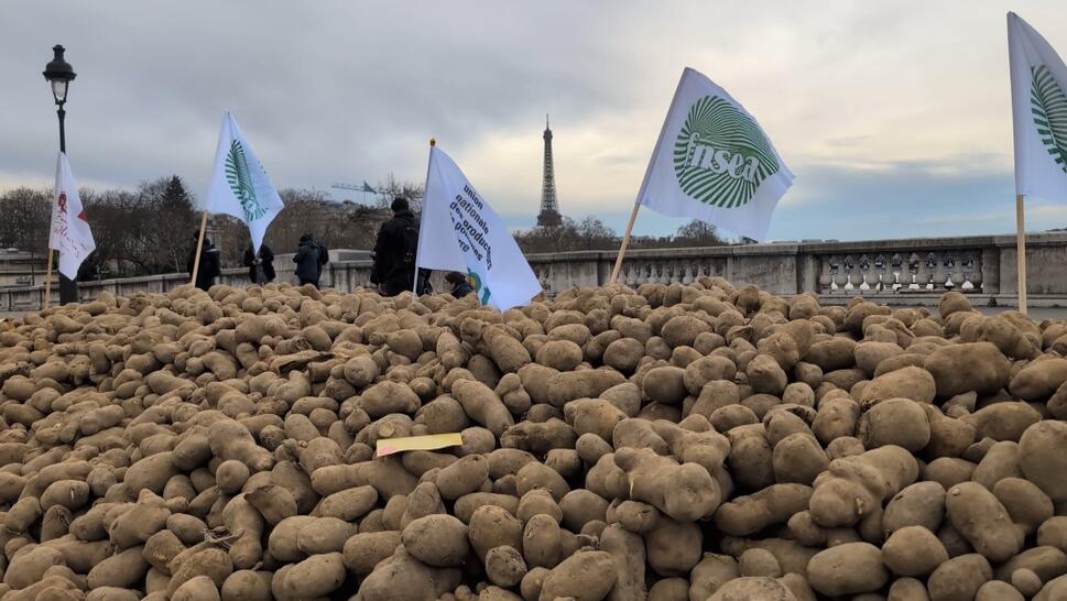 Farmers Dump 30 Tons Of Potatoes In Paris