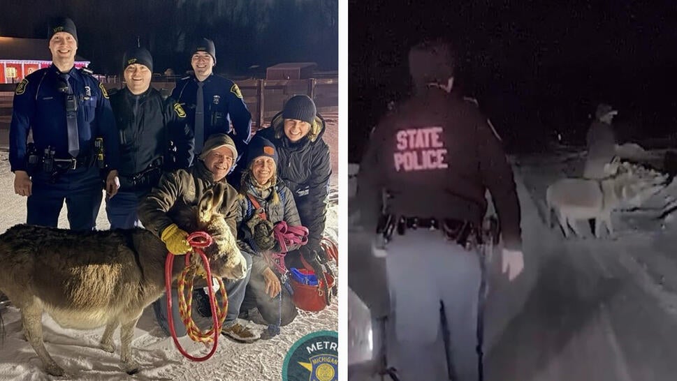 Donkey Named Dolly Parton Tracked Down By Troopers 