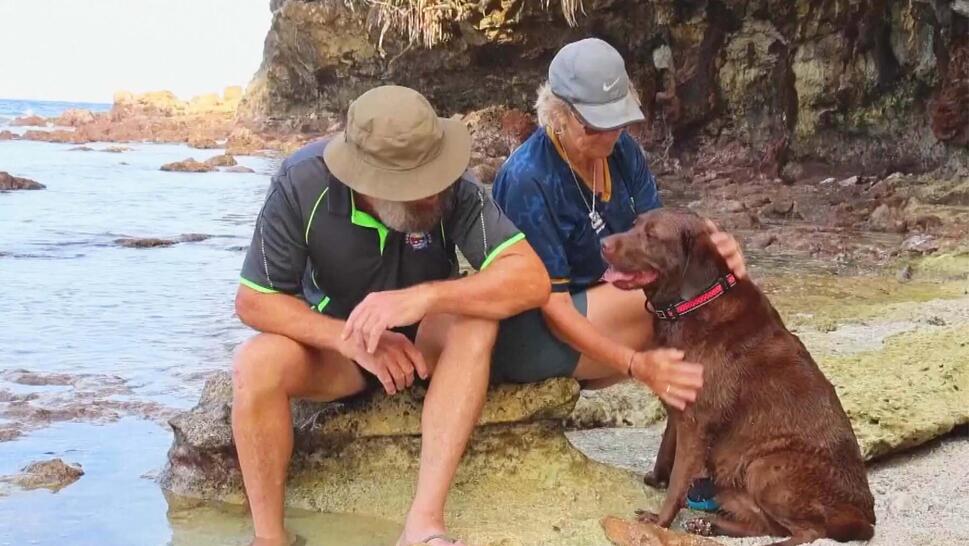 Couple sitting on a beach rock petting a dog