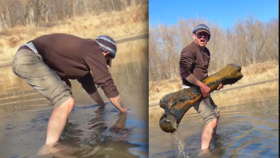 Man pulling something out of water / Man holding large mammoth bone