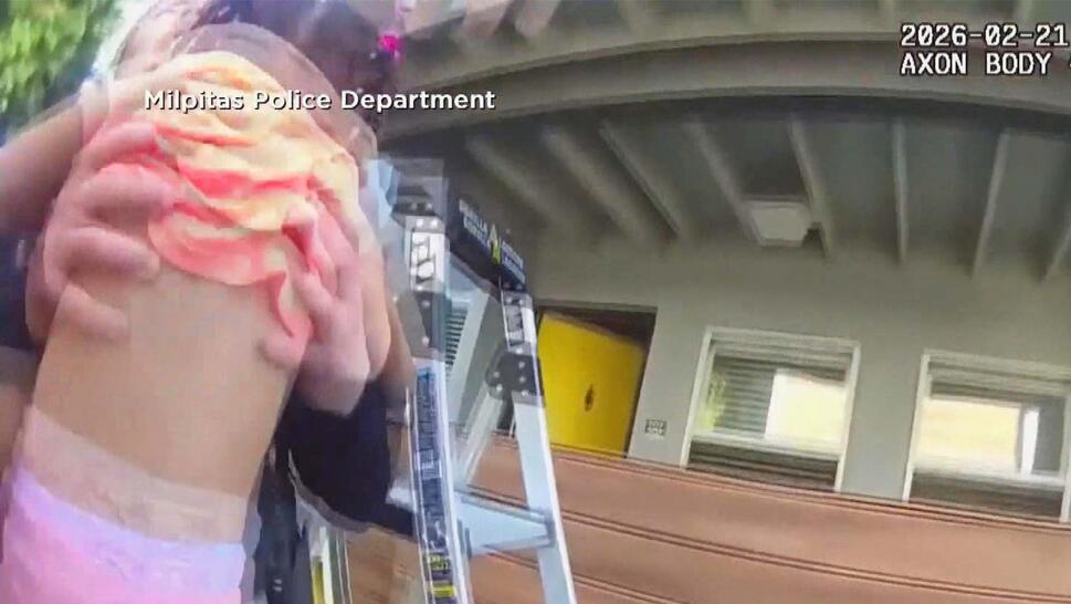 3-Year-Old girl being caught from a second floor by police officers