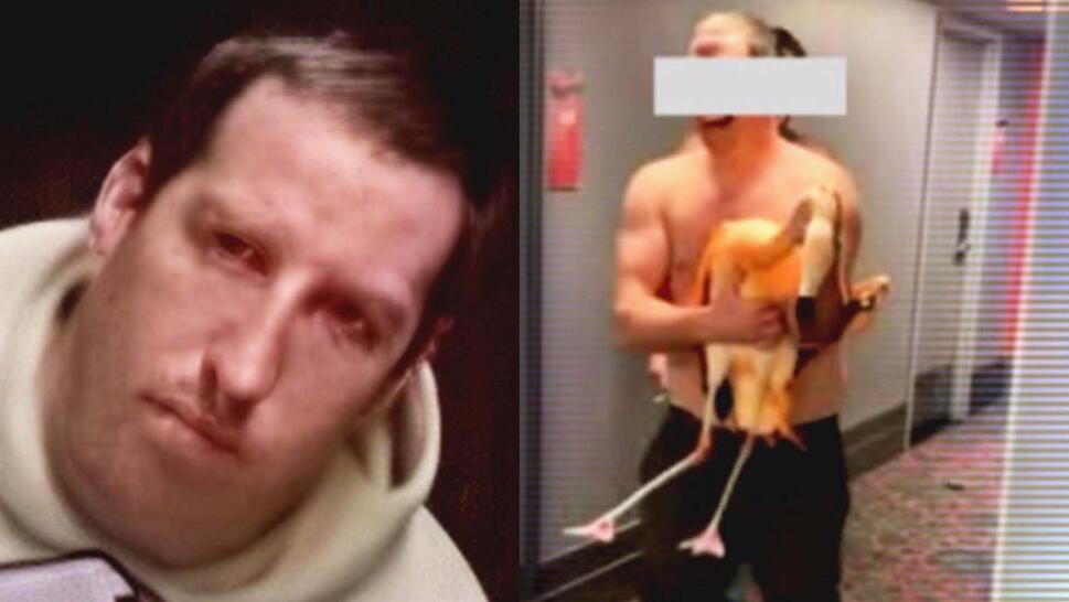 Mitchell Fairbairn mugshot / Surveillance footage of Mitchell Fairbairn allegedly holding a flamingo