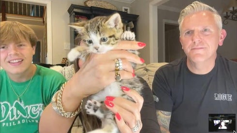 Pennsylvania Family Rescues Adorable Stray Kitten Stuck Inside Pipe