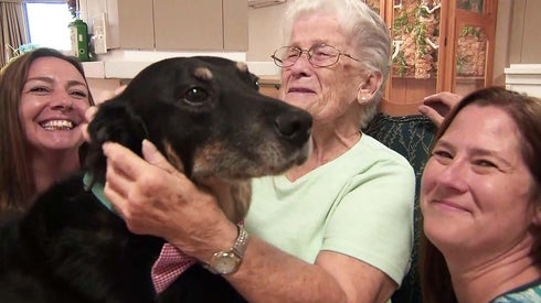 Michigan Nursing Home Adopts Adorable Runaway Dog Who Escaped Animal Shelter 