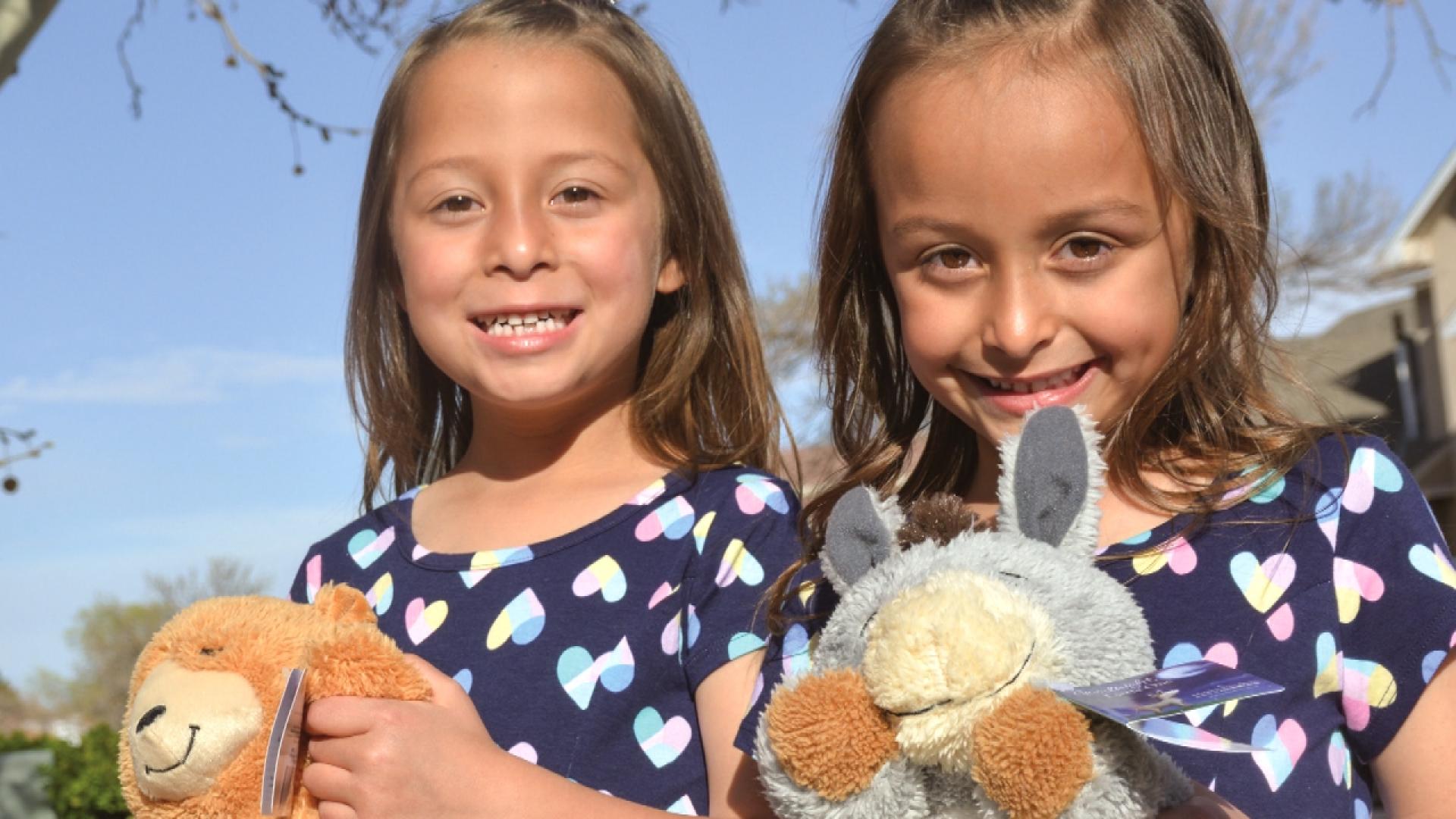 twin stuffed animals