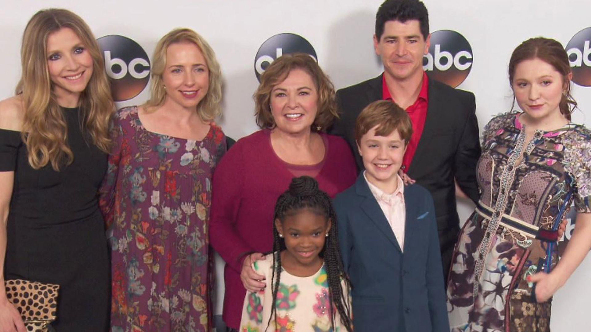 Meet the Breakout Stars of 'Roseanne' — Who Are Now Out of a Job ...