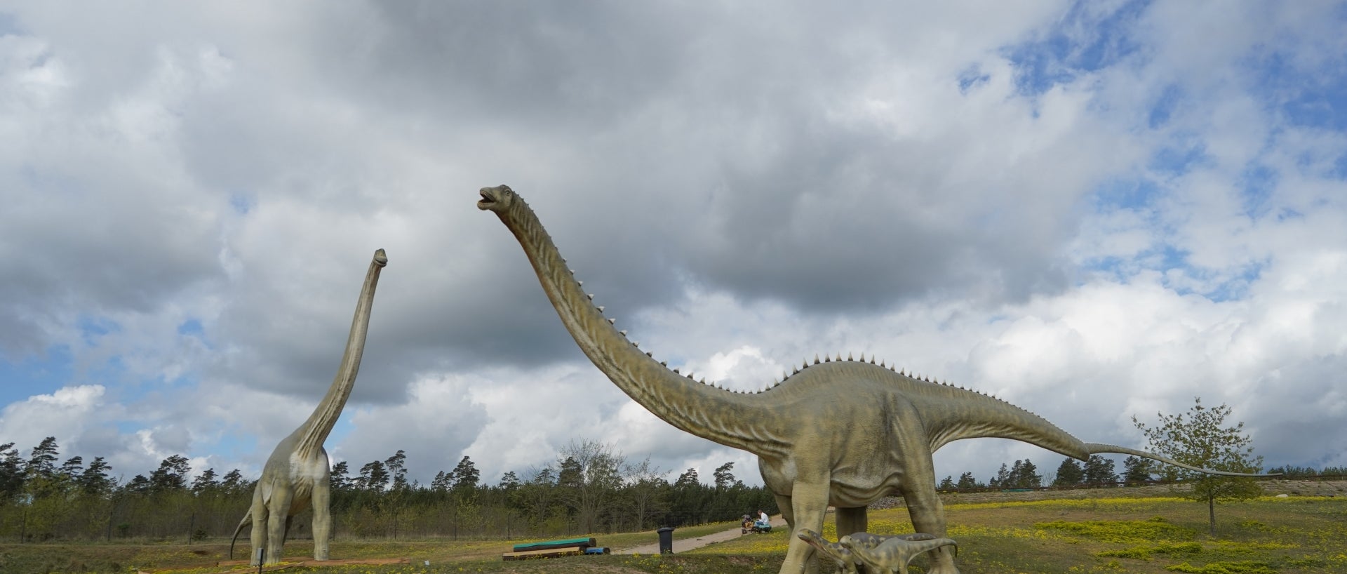 Two sauropods in a Dinosaur park